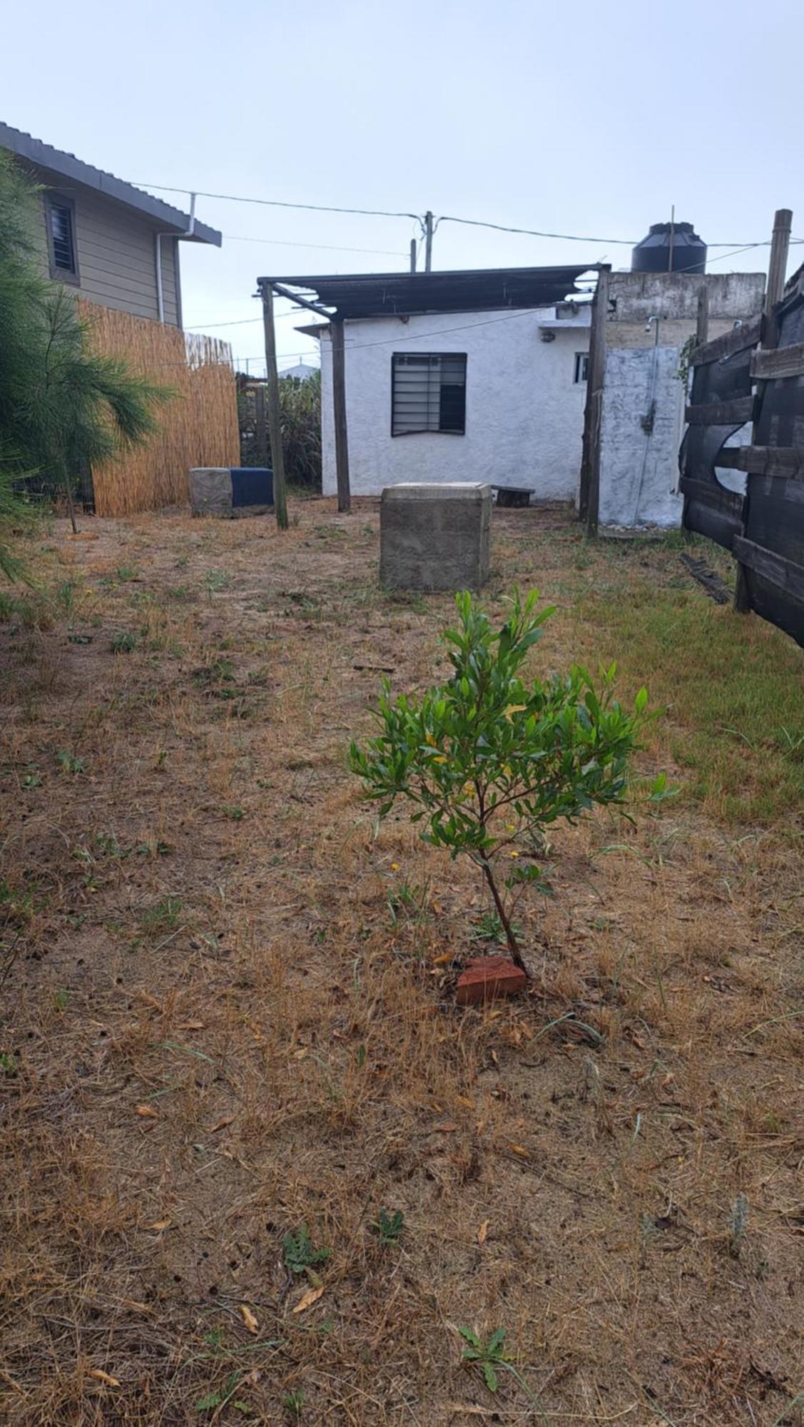 הוילה קוצ'ייה אלטה La Casa De Juan מראה חיצוני תמונה
